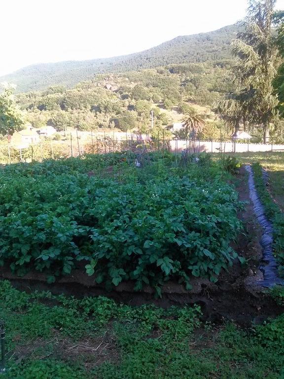 Albergue Turistico Via De La Plata Banos De Montemayor Kültér fotó